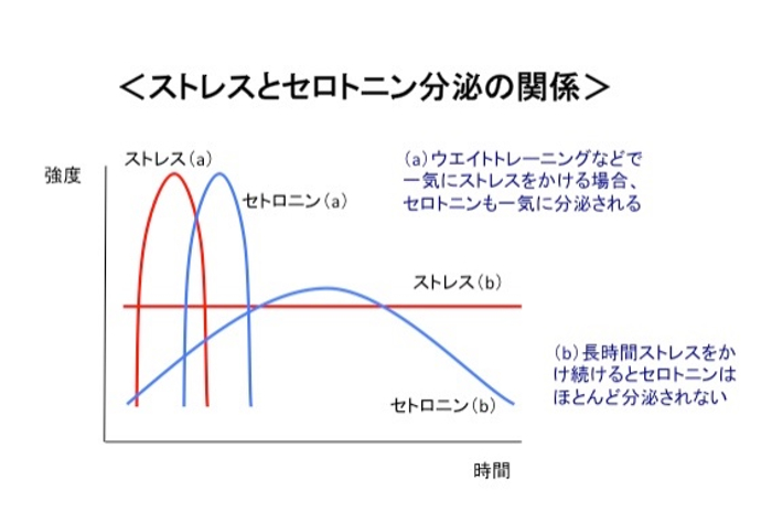 ビジネスマンならやるべき 上質な肉体を作り上げる簡単な方法 Emira