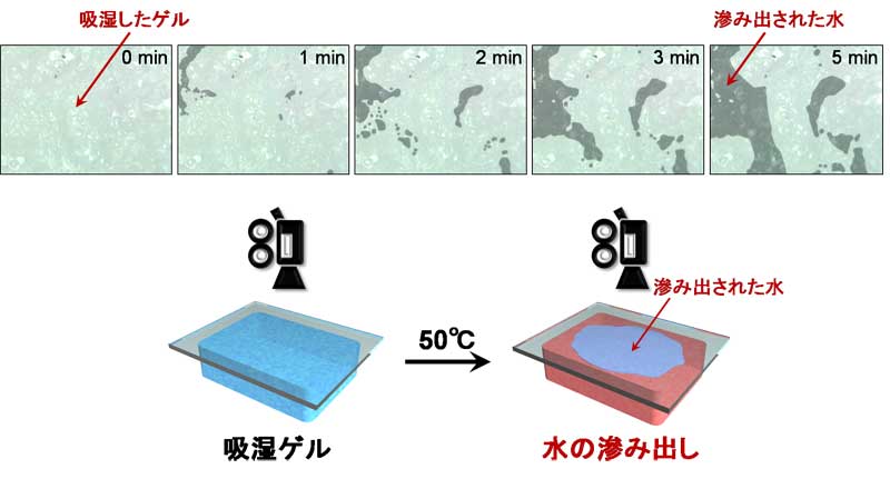 空気中の湿気を集めて水に変える省エネ材料 スマートゲル を関西大学が開発 Emira