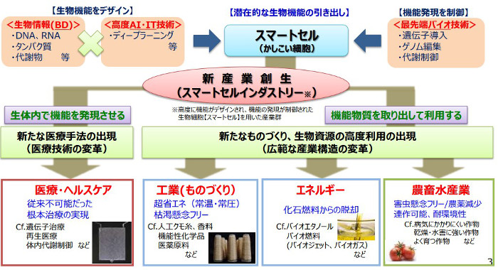 市場規模は100兆円超!? バイオエコノミーで日本は勝者になれるか？  EMIRA