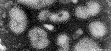 インフルエンザウイルスが持つ本当の脅威