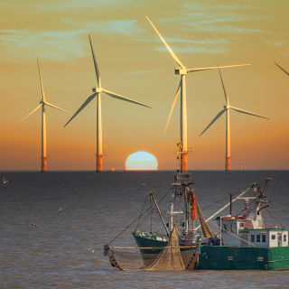 日本企業は世界と戦えるのか？「洋上風力発電」のポテンシャルとビジネスチャンス