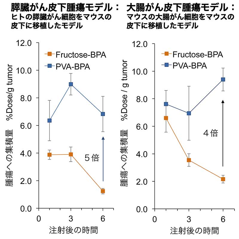 発想の転換がもたらした新たな光明！ 液体のりの成分ががん治療を