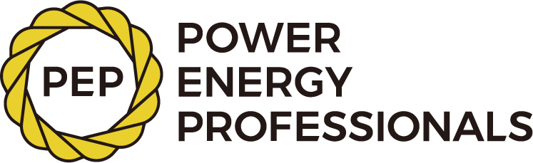 POWER ENERGY PROFESSIONALS